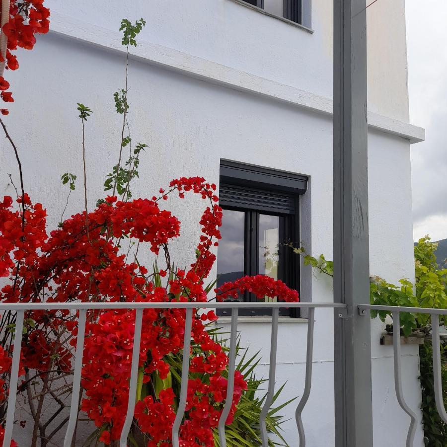 Kastro Studios Skopelos Town Exterior photo